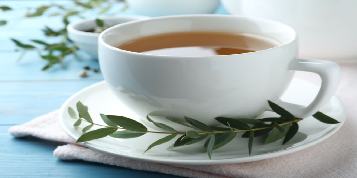 Chá de eucalipto para rinite