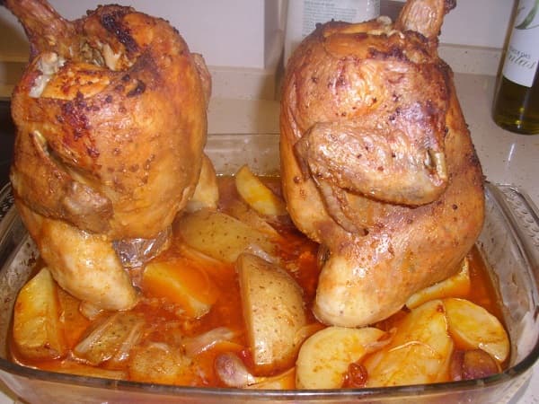Frango sentado