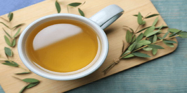 Chá de eucalipto para a gripe